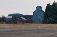 Walldon area farm
October 2009